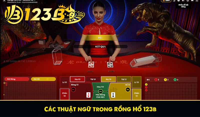 Rồng hổ 123B - Hướng dẫn hiểu luật chơi và mẹo chơi hiệu quả 12 Các thuật ngữ trong Rồng Hổ 123b